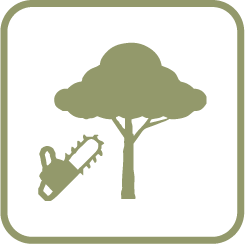 Tree Removal Icon icon - Upper Cape Tree Service